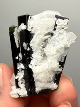 Load image into Gallery viewer, Blue Cap Dark Green Stak Nala Tourmaline on Cleavelandite Matrix – Haramosh Mountains, Pakistan
