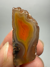 Load image into Gallery viewer, Lot of 9 Small Malawi Agate Halves – Polished Rare Colorful Collector Specimens
