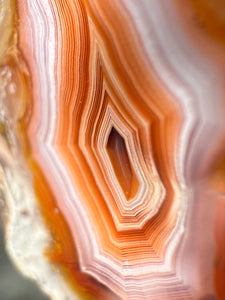 High-Grade Parallax Banded Laguna Agate – Bright Orange, Red, & White Banding from Mexico