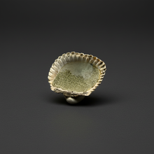 Load image into Gallery viewer, Bivalve (Pelecypoda) Fossil Sea Shell with Chalcopyrite | Mineralized Fossil Specimen | Indonesia

