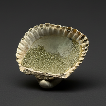Load image into Gallery viewer, Bivalve (Pelecypoda) Fossil Sea Shell with Chalcopyrite | Mineralized Fossil Specimen | Indonesia

