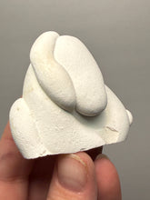 Load image into Gallery viewer, Chichaoua Menalite “Fairy Stone” Concretion | Natural Collector Display Specimen | Morocco
