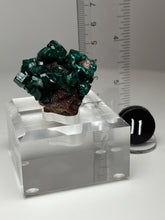 Load image into Gallery viewer, Dioptase Cluster from Congo • High Grade • Mineral Collector’s Specimen Showpiece
