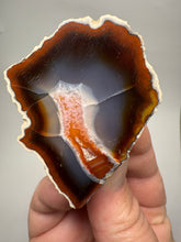 Load image into Gallery viewer, High-Grade Indonesian Sumatra Agate Pair – Vibrant Banded Chalcedony with Rich Color Zoning | Ethical Lapidary &amp; Collector Display Specimens
