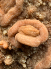 Load image into Gallery viewer, Chalcedony Quartz Rose Agate Collector Mineral Specimen – Morocco
