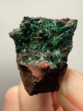 Load image into Gallery viewer, Brochantite Collector Mineral Specimen – Vivid Green Copper Crystals from Morocco
