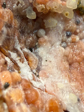 Load image into Gallery viewer, “Goblin Chalcedony” Pink &amp; Orange Druzy Botryoidal Stalactites— Tichka Massif, High Atlas, Morocco
