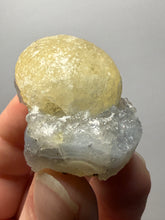 Load image into Gallery viewer, Rare Botryoidal Yellow Fluorite on Quartz Matrix  Collector Mineral Specimen – Maharashtra, India
