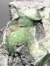 Load image into Gallery viewer, High-Grade Green Wavellite Collectors Specimen - Radiating Botryoidal Crystal Formation - Arkansas, USA

