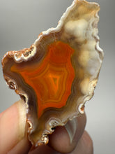 Load image into Gallery viewer, Polished Malawi Agate Half – High-Grade African Banded Agate Display Specimen
