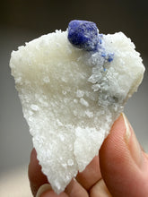 Load image into Gallery viewer, Afghan Lazurite Specimen | Deep Blue Lapis-Grade Crystal on Matrix | Collector Display Mineral
