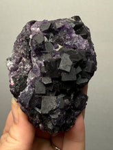 Load image into Gallery viewer, High-Grade Rare Purple-Green-Blue Cubic Fluorite | Cabinet Mineral Collector Specimen | Zhejiang Province, China
