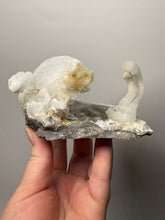 Load image into Gallery viewer, RARE COMBO Moroccan Ram’s Horn Selenite (Gypsum) with Yellow Botryoidal Fluorite Display Specimen
