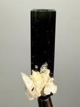 Load image into Gallery viewer, Dark Green Cap Stak Nala Tourmaline and Cleavelandite – Haramosh Mountains, Pakistan | Thumbnail Specimen
