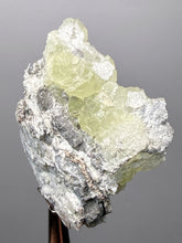 Load image into Gallery viewer, Vibrant Yellow Brucite Thumbnail Mineral Specimen | Collector Crystal from Killa Saifullah District in Balochistan Province, Pakistan
