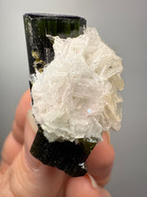 Load image into Gallery viewer, Dark Green Cap Stak Nala Tourmaline on Cleavelandite Matrix – Haramosh Mountains, Pakistan
