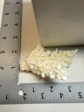 Load image into Gallery viewer, White Coral Aragonite Crystal Specimen – Wenshan Mine, Yunnan, China
