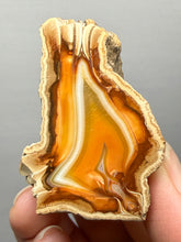 Load image into Gallery viewer, Premium Sumatra Agate (Banded Chalcedony) Display Specimen | Indonesia
