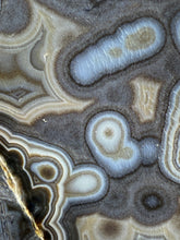 Load image into Gallery viewer, Mystical Turkish Stick &amp; Eye Agate with Intriguing Inclusions – Great Banding and Eyes
