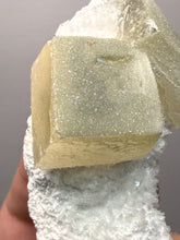 Load image into Gallery viewer, Rare Druzy Golden “Diamond” Calcite on Zeolite Matrix — Maharashtra, India | Collector Cabinet Specimen
