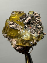 Load image into Gallery viewer, Vibrant Yellow Barite | Collector Display Specimen | Taourirt Mine, Morocco
