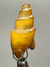 Load image into Gallery viewer, Agatized Gastropod Fossil Specimen | Morocco
