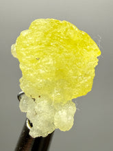 Load image into Gallery viewer, Vibrant Yellow Brucite Thumbnail Mineral Specimen | Collector Crystal from Killa Saifullah District in Balochistan Province, Pakistan
