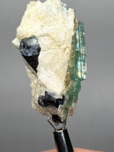 Load image into Gallery viewer, Blue Indicolite &amp; Mint Green Tourmaline on Matrix – Pegmatite Mineral Specimen from Pakistan
