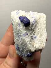 Load image into Gallery viewer, Afghan Lazurite Specimen | Deep Blue Lapis-Grade Crystal on Matrix | Collector Display Mineral

