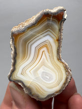 Load image into Gallery viewer, Premium Sumatra Agate (Banded Chalcedony) Display Specimen | Indonesia
