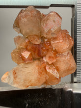Load image into Gallery viewer, Rare Red Apophyllite Crystal Cluster – High Grade Collector Mineral Specimen | India
