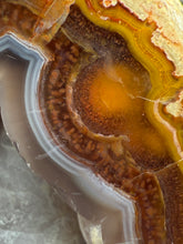 Load image into Gallery viewer, High-Grade Turkish Agate with Botryoidal Chalcedony Vug – Rare Collector’s Gem
