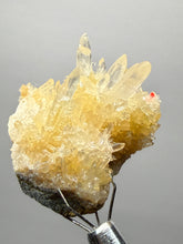 Load image into Gallery viewer, High-Grade Flower Calcite Crystal Specimen | Wenshan Mine, Yunnan, China | Collector Mineral Display
