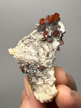 Load image into Gallery viewer, Natural Vanadinite on Matrix | Collector Mineral Specimen | Morocco

