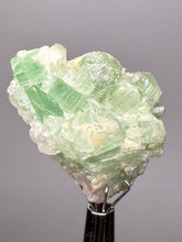 Load image into Gallery viewer, Mint Green Tourmaline 
And Pink Morganite on Matrix– Pegmatite Mineral Specimen from Pakistan
