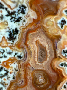 Rare Moroccan Orange and Pink Agate Collected by Indigenous Nomads | Ancient Beauty from the Sahara