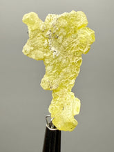 Load image into Gallery viewer, Vibrant Yellow Brucite Thumbnail Mineral Specimen | Collector Crystal from Killa Saifullah District in Balochistan Province, Pakistan
