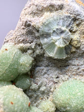 Load image into Gallery viewer, High-Grade Green Wavellite Collectors Specimen - Radiating Botryoidal Crystal Formation - Arkansas, USA
