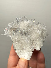 Load image into Gallery viewer, High-Grade Chrysanthemum Quartz (Needle Quartz) Spray Cluster | Jiangxi, China
