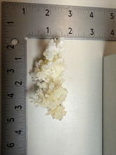 Load image into Gallery viewer, High-Grade Coral Aragonite Crystal Specimen – Wenshan Mine, Yunnan, China
