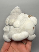 Load image into Gallery viewer, Chichaoua Menalite “Fairy Stone” Concretion | Natural Collector Display Specimen | Morocco
