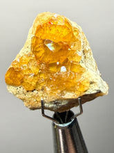 Load image into Gallery viewer, Hessonite Garnet Cluster on Matrix – Thumbnail Collector Specimen from Pakistan | High-Grade Orange-Red Garnet Crystals
