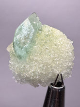 Load image into Gallery viewer, Luminous Mint Apophyllite with Glittering Druzy Sugar Quartz – India
