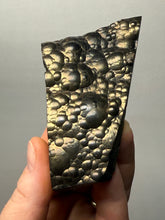 Load image into Gallery viewer, Botryoidal Stalactite Goethite (Iron Oxyhydroxide) Display Specimen | Turkey
