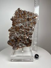 Load image into Gallery viewer, Dragon Scale Calcite Mineral Collector’s Showpiece • Hubei Province, China • High Grade • Stand Included
