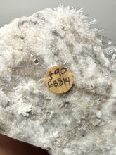 Load image into Gallery viewer, High-Grade Chrysanthemum Quartz (Needle Quartz) Spray Cluster | Jiangxi, China
