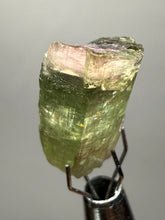 Load image into Gallery viewer, Raw Bi-Color Tourmaline Crystal Specimen | Ocean View Mine, Pala, California, USA

