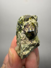 Load image into Gallery viewer, Gemmy Green Garnet on Matrix – Pakistan Collector Specimen
