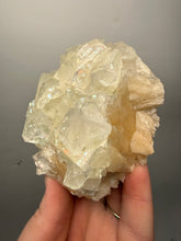 Load image into Gallery viewer, High-Grade Light Green Apophyllite on Pink Stilbite Zeolite | Indian Collector Mineral Specimen
