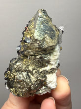 Load image into Gallery viewer, New Find: Huanzala Mine Peru Sphalerite + Chalcopyrite + Apatite + Calcite + Quartz | Collector Display Specimen
